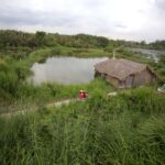 dat-nong-nghiep-tai-huyen-binh-chanh-tphcm-anh-ngoc-duong-6-9865